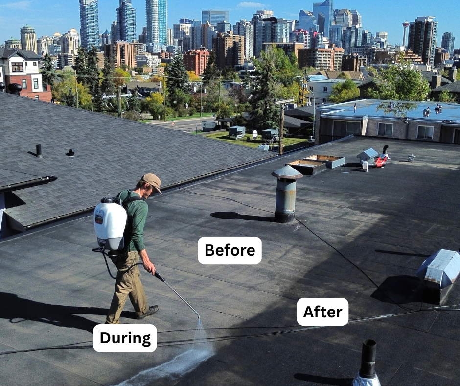 Downtown Tulsa flat roof treatment